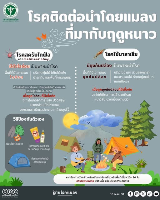 หนาวนี้ เที่ยวปลอดภัยไม่ป่วยด้วยโรคติดต่อนำโดยแมลง